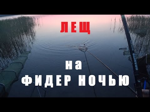 Видео: МНОГО ЛЕЩА НА ФИДЕР? ЛЕГКО!!! РЫБАЛКА НА ФИДЕР. ЛЕЩ.