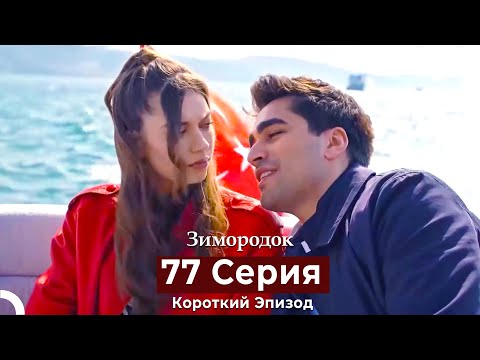 Видео: Зимородок 77 Cерия (Короткий Эпизод) (Русский дубляж)