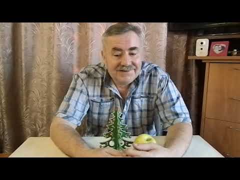 Видео: с НАСТУПАЮЩИМ!!! и не только....