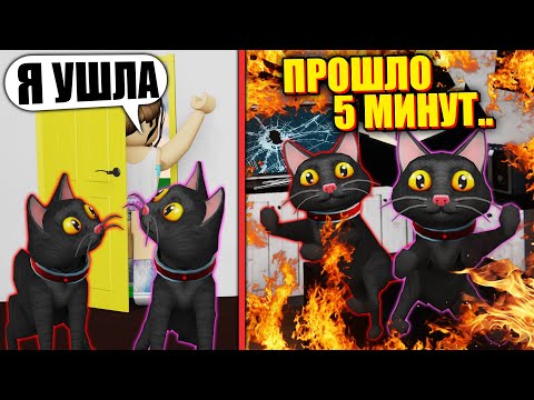 Видео: АНТИСТРЕСС ДЛЯ КОТИКОВ!