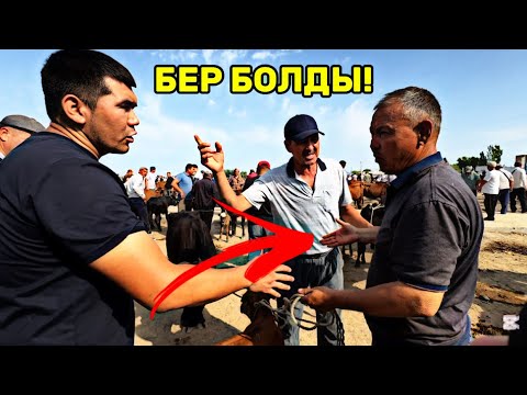 Видео: МИНЕ САУДА! 6-ИЮЛЬ 2025 ШЫМБАЙ МАЛ БАЗАРЫ АТ БАЗАРЫ БАХАЛАРЫ ӨЗГЕРДИ!