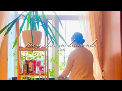 Видео: #39 Рутина выходного дня | Пересадка цветов и маленькая перестановка | Влог