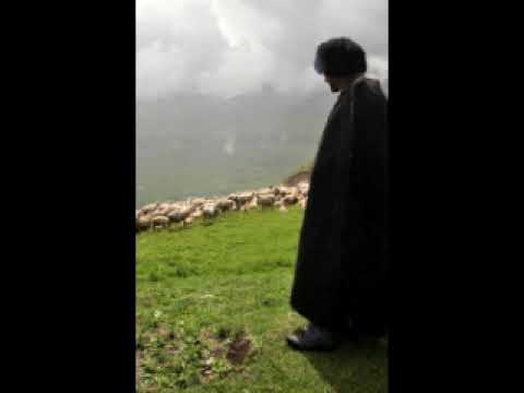 Видео: Imaginal Realm- Магӏарулал (Full)