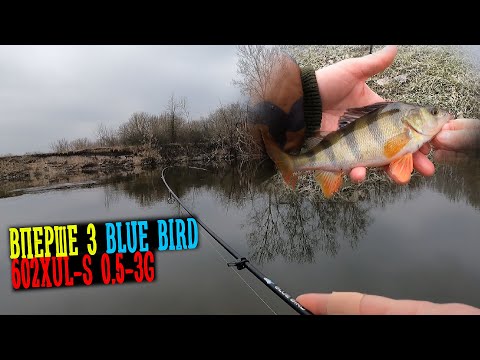 Видео: Полтава / Що Можливо Впіймати Ранньою Весною на місцевій Ворсклі в Н.Млинах? Blue Bird 602XUL-S