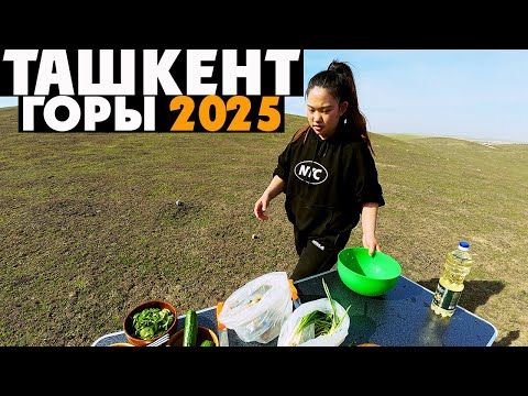 Видео: 🏔️ Выезд в горы ТАШКЕНТА 🌿 готовим КОРЕЙСКОЕ БЛЮДО на природе с Инной 🍜