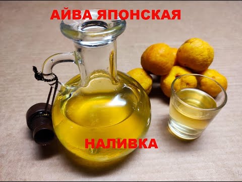 Видео: АЙВА ЯПОНСКАЯ. Наливка из японской айвы.