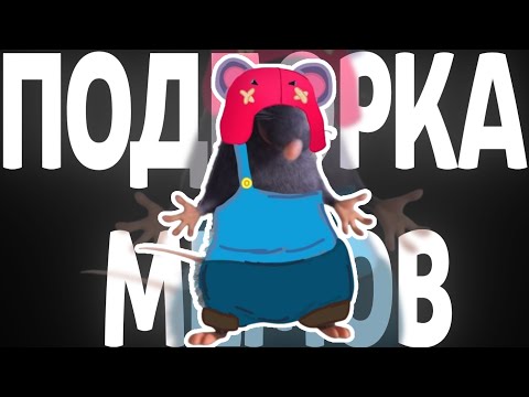 Видео: Brawl Stars грустит с ТТ | Подборка мемов по Brawl Stars из TikTok №64