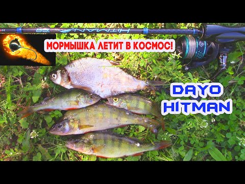 Видео: МОРМЫШИНГ. DAYO HITMAN. БЮДЖЕТНИК, А КИДАЕТ ОТЛИЧНО!