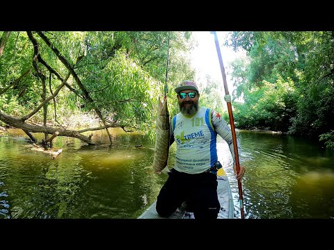 Видео: SUP рыбалка на Северке