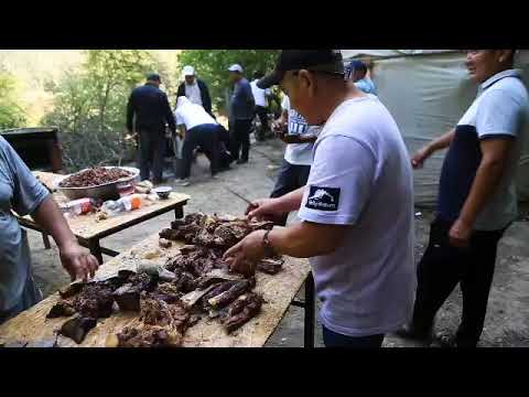 Видео: Заргер айылы. Чукулу уруусу😍😍