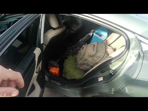 Видео: 14 августа 2025 г.