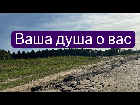 Видео: Как четыре стороны одного того же света,я люблю—в том нет вины, все четыре этих цвета..🍀