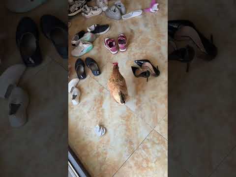 Видео: 8 ноября 2025 г.