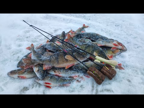 Видео: МОИ УДОЧКИ НА ОКУНЯ. ЗИМНЯЯ БЛЕСНИЛКА ДЛЯ ОКУНЯ