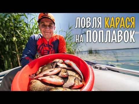 Видео: КАРАСЬ НА ПОПЛАВОК в кувшинках. Ловля на Днепре с лодки.