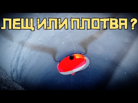 Видео: КЛАДЁТ ПОПЛАВОК В ЛУНКЕ! Насыпал хитрый корм и КЛЮЁТ КРАСИВО!