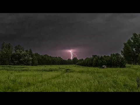 Видео: Суслики и гроза на Татышева / Gophers and a thunderstorm on Tatyshev
