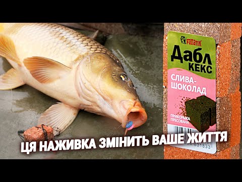 Видео: Ловля Коропа в Холодній воді. Наживки і прикормки 2025