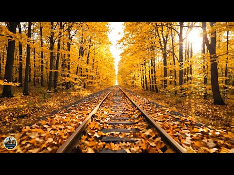 Видео: Красивая музыка (Осень) ОСЕННИЙ ДЕНЬ! Эту музыку можно слушать вечно! ВОССТАНОВЛЕНИЕ НЕРВНОЙ СИСТЕМЫ