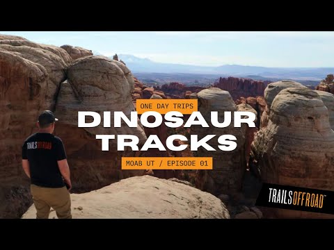 Видео: Эпическое однодневное путешествие по бездорожью недалеко от Моаба, штат Юта