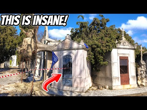 Видео: Дерево раздавило мавзолей и тела… Лучше бы я не заглядывал внутрь