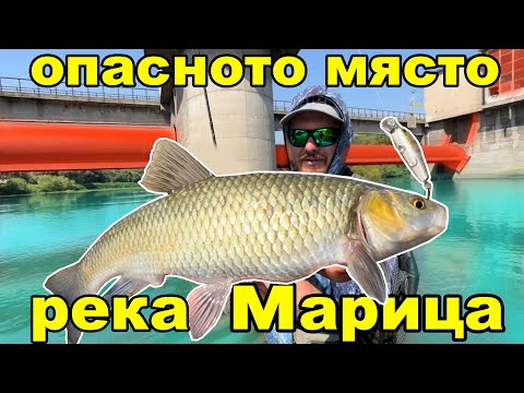 Видео: Ловим на ОПАСНО МЯСТО в град Пловдив. Риболов на кефал на река Марица