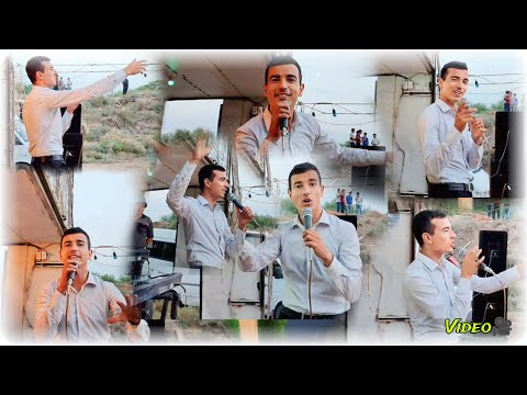 Видео: Алижон Хайткулов - Зажигает (Tuylarda 2023)