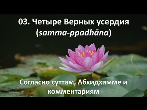 Видео: 03. Четыре Верных усердия (самма-ппадхана)