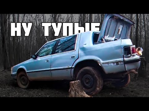 Видео: Когда Пень Умнее Человека [Подборка 2019]