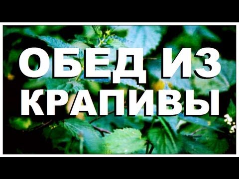 Видео: Галилео. Обед из крапивы