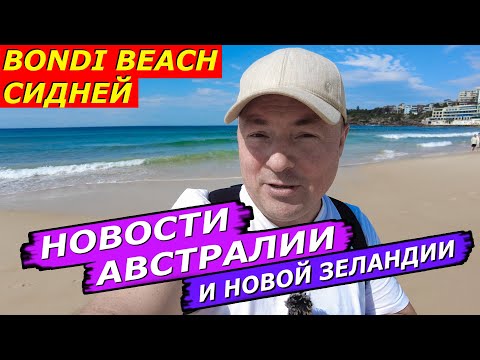 Видео: Нападение акулы, Досмотры без ордера, Неонацисты, Лес под угрозой, НЗ соц жилье Крупнейший парк коал