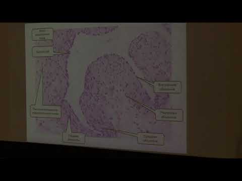 Видео: Препараты ссс,нс, органы чувств