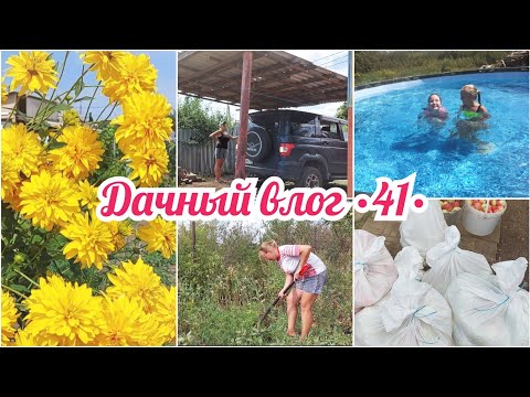 Видео: СОБРАЛИ МЕШКАМИ ЯБЛОКИ 🔥 НАКОПАЛА МЕЛКИЙ ЧЕСНОК // ДАЧНЫЕ РАБОТЫ / ОБЕД уДАЧНИКА