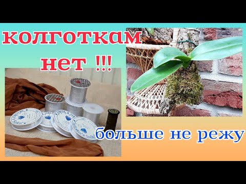 Видео: Как посадить ОРХИДЕЮ на блок и чем лучше её закрепить ☺