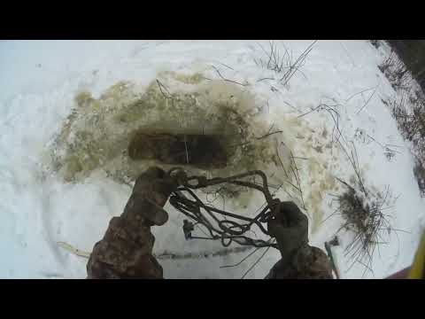 Видео: Охота на бобра капканами зимой. Есть бобр+выдра.Ну и жутковато одному.#охотанабобра#капканы#выдра#