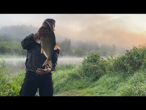 Видео: Рыбалка на реке Неман,август 2024