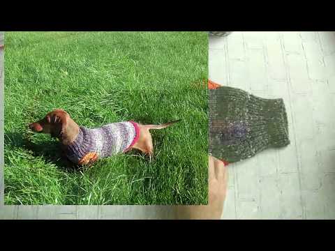 Видео: Вязаная одежда для собак ¦ Наши расчеты ¦ Как связать по размеру