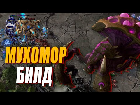 Видео: Как бы выглядел билд МЕДОЕДА на про уровне в StarCraft 2 - YoungYakov vs Shameless