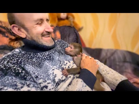 Видео: САМОЕ СМЕШНОЕ ВИДЕО! Я ужасно ругаю Люську за обои, а она мне ОТВЕЧАЕТ)))