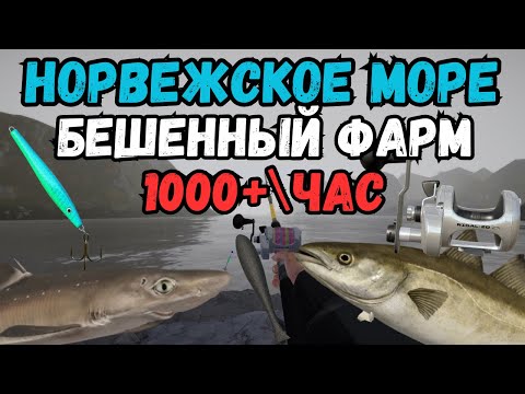 Видео: НОРВЕЖКА РАЗДАЁТ СЕРЕБРО 1000+\ЧАС /Норвежское море ● Русская Рыбалка 4 | РР4