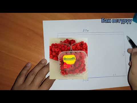 Видео: Малинаны кандай тигүү керек?..