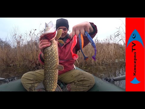 Видео: Раздача ЩУКИ в НОЯБРЕ. Ловля Щуки на КРУПНЫЙ СИЛИКОН перед Морозами.