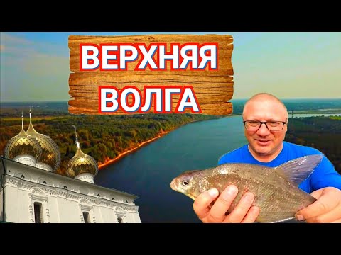Видео: Путешествие на Верхнюю Волгу/Рыбалка с Ночёвкой/Отдых Дикарями с Палаткой/Море Эмоций