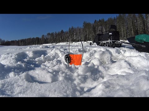 Видео: Рыбалка на жерлицы.