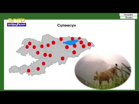 Видео: 8-класс | География | Сейрек жана жоголуп бара жаткан өсүмдүк жаныбарларын коргоо