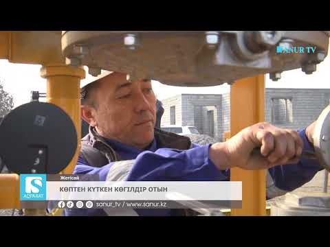Видео: 13.02.2025. ЖЕТІСАЙ АУДАНЫ. КӨПТЕН КҮТКЕН КӨГІЛДІР ОТЫН.