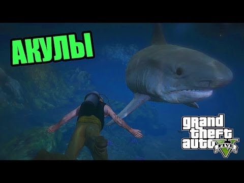 Видео: Прохождение GTA V | Охота на АКУЛ, АКУЛЫ не дремлют  !!! #GTA5sharks