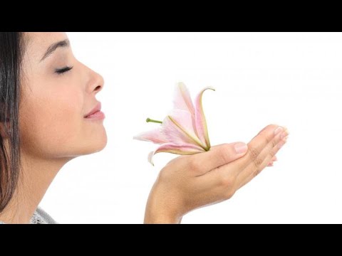 Видео: Обоняние