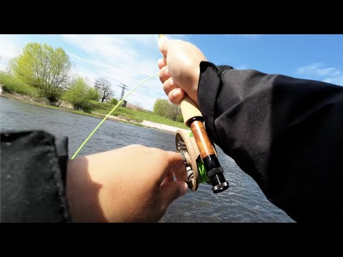 Видео: Първи риболов с мухарка на река Огоста