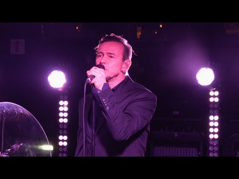 Видео: Дельфин [на корабле] - Снег ( 04.09.2025, Москва )